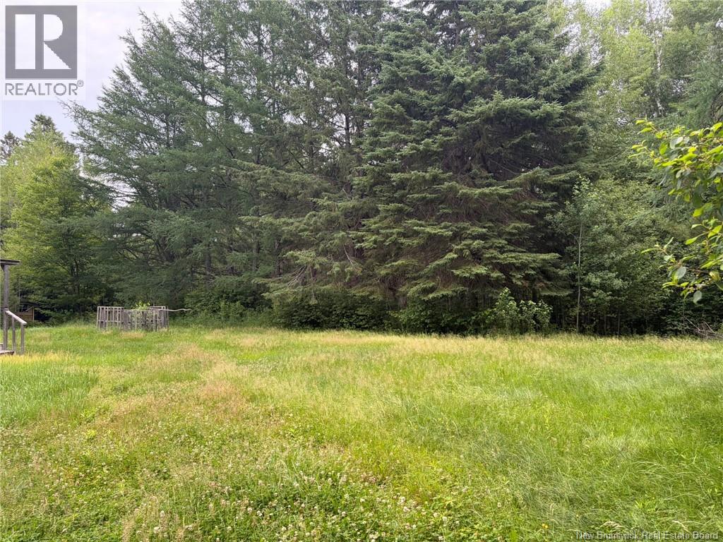 5158 Rte 108, Millerton, New Brunswick E1V 5B7 - Photo 3 - NB143501