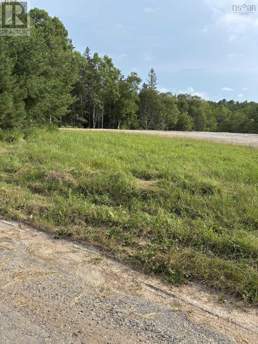 Lots Long Hill Road, Mahone Bay, Nova Scotia  B0J 2E0 - Photo 3 - 202617328
