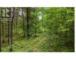 LOT 16 ECHO LAKE ROAD, Frontenac, Ontario