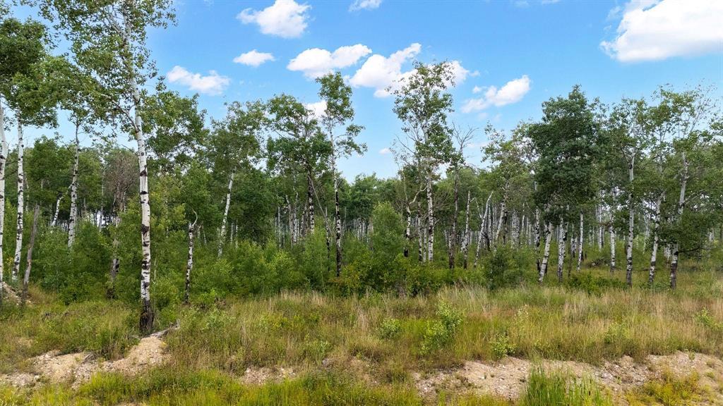 22 Cyrus Lane, La Broquerie, Manitoba  R0A 0W1 - Photo 2 - 202615652
