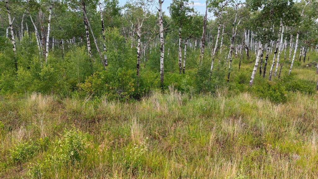 22 Cyrus Lane, La Broquerie, Manitoba  R0A 0W1 - Photo 3 - 202615652
