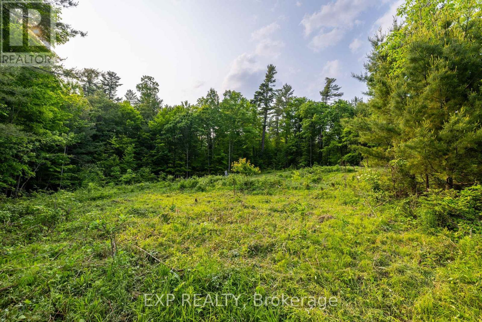 1225 Barrett Chute Road, Greater Madawaska, Ontario  K0J 1H0 - Photo 8 - X13556018