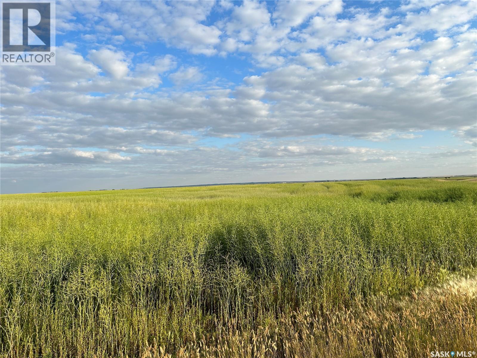 6 Quarters Rm 100, Elmsthorpe Rm No. 100, Saskatchewan  S0H 4A0 - Photo 12 - SK042200