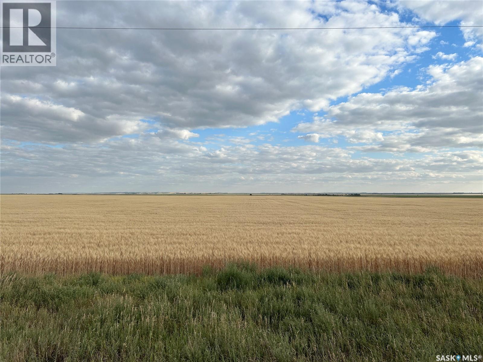6 Quarters Rm 100, Elmsthorpe Rm No. 100, Saskatchewan  S0H 4A0 - Photo 8 - SK042200