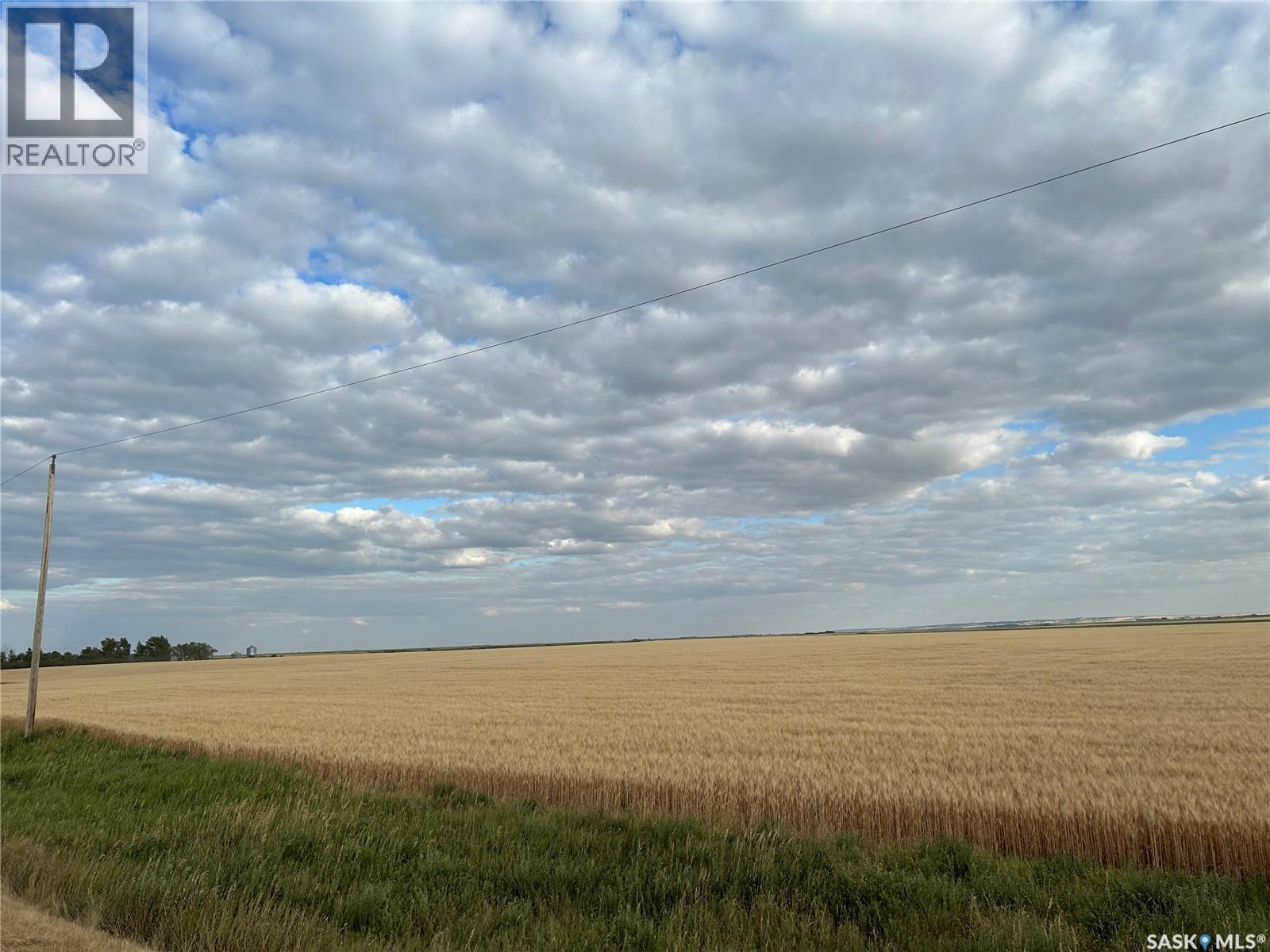 6 Quarters Rm 100, Elmsthorpe Rm No. 100, Saskatchewan  S0H 4A0 - Photo 9 - SK042200