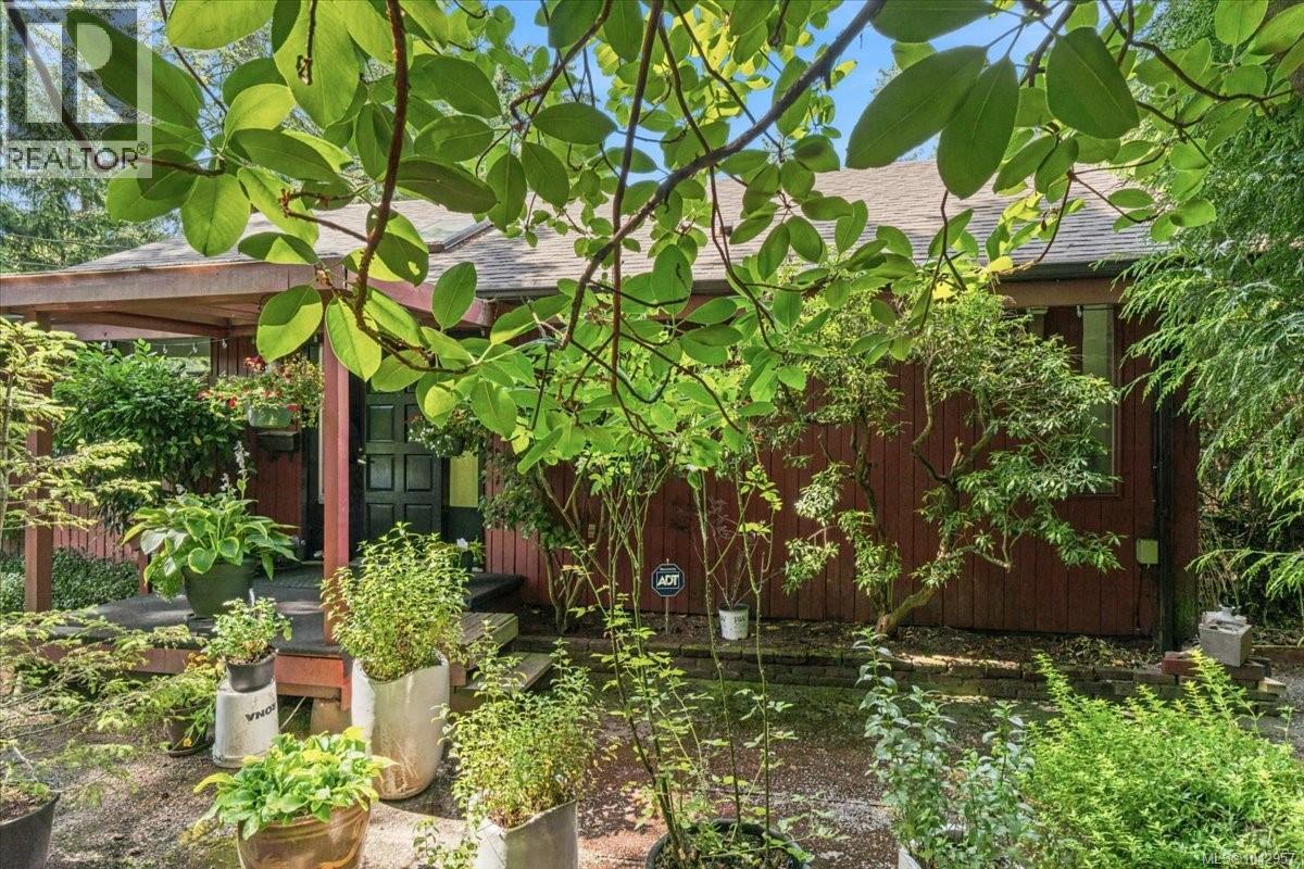 Listing image 50