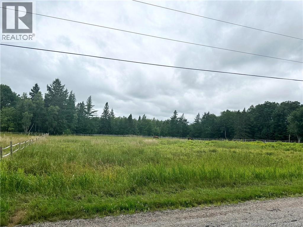 Collina Road, Studholm