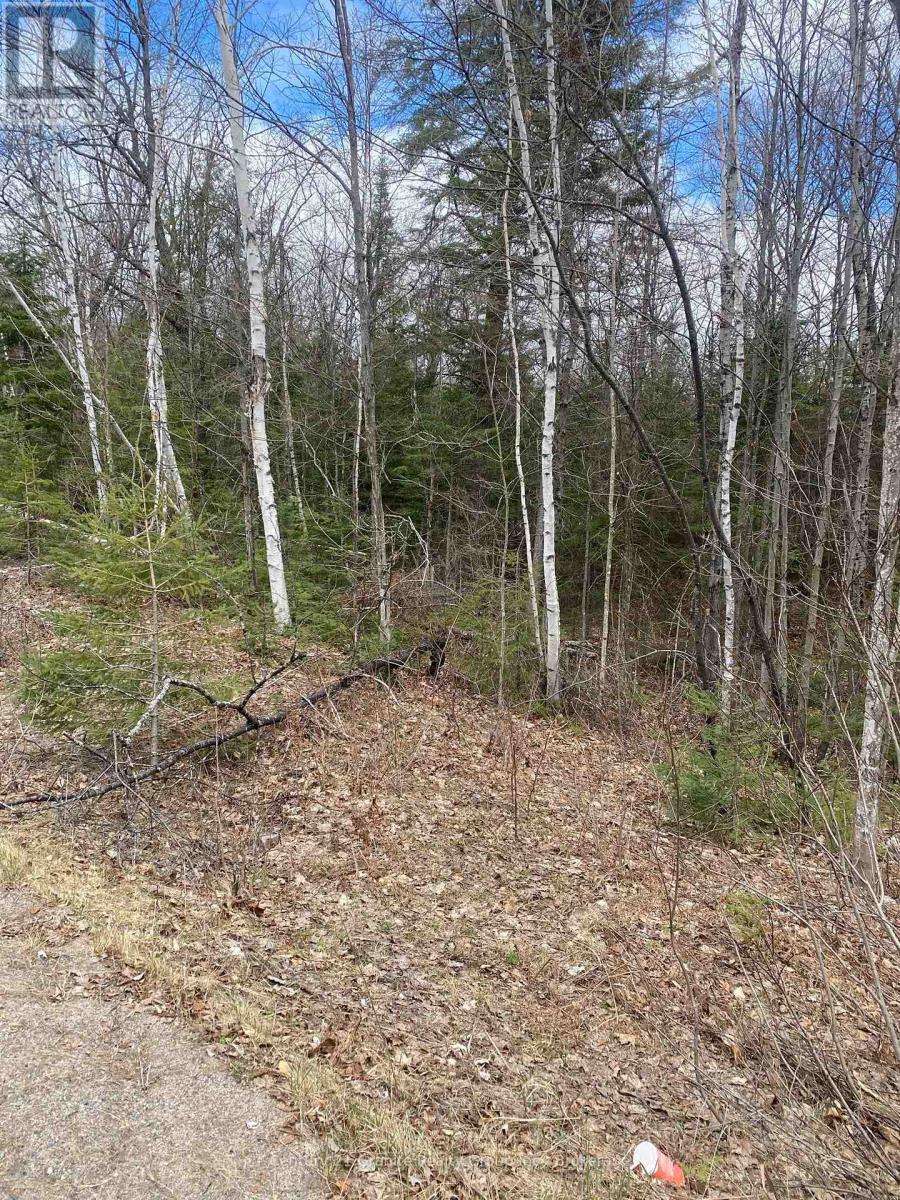0 Madawaska Road, Hastings Highlands, Ontario  K0L 2S0 - Photo 2 - X13557014