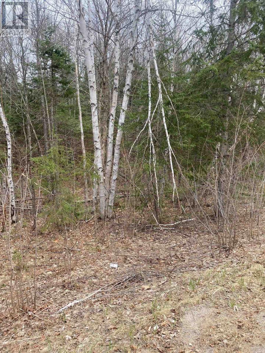 0 Madawaska Road, Hastings Highlands, Ontario  K0L 2S0 - Photo 3 - X13557014