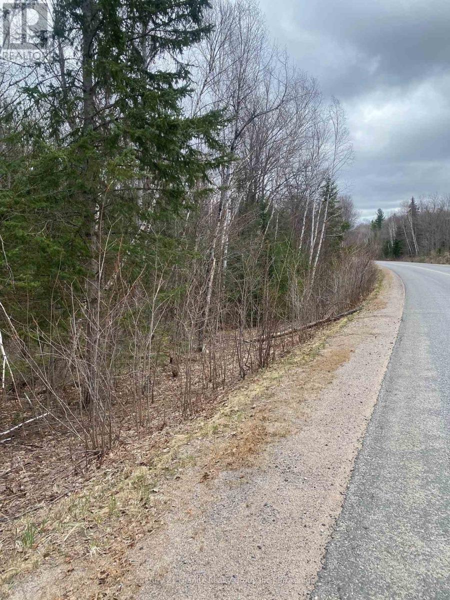 0 Madawaska Road, Hastings Highlands, Ontario  K0L 2S0 - Photo 7 - X13557014