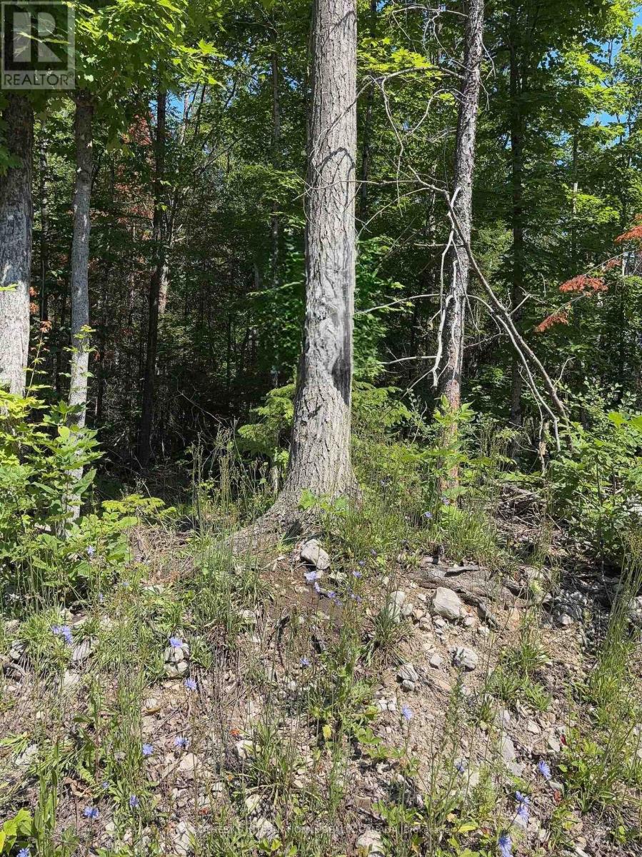 LOT 30 WHITE VALLEY ROAD, Trent Lakes, Ontario