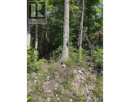 LOT 30 WHITE VALLEY ROAD, Trent Lakes, Ontario