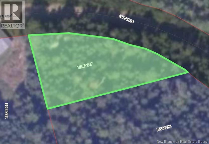 Lot Christie Road, Penniac, New Brunswick  E3A 9A1 - Photo 3 - NB143906