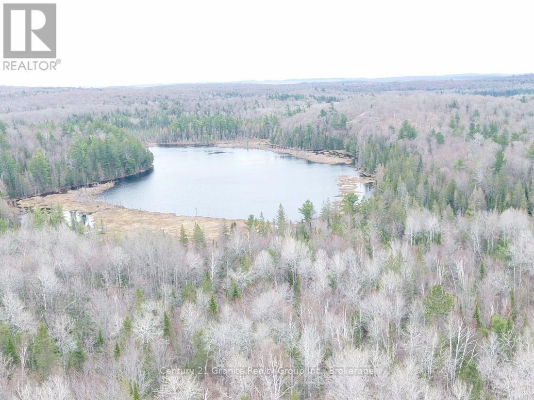 2057 Madawaska Road, Hastings Highlands, Ontario  K0L 2S0 - Photo 1 - X13557356