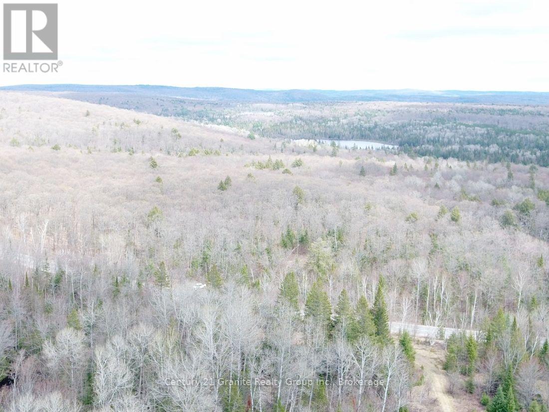 2057 Madawaska Road, Hastings Highlands, Ontario  K0L 2S0 - Photo 15 - X13557356