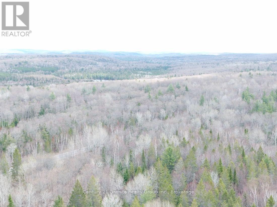 2057 Madawaska Road, Hastings Highlands, Ontario  K0L 2S0 - Photo 16 - X13557356