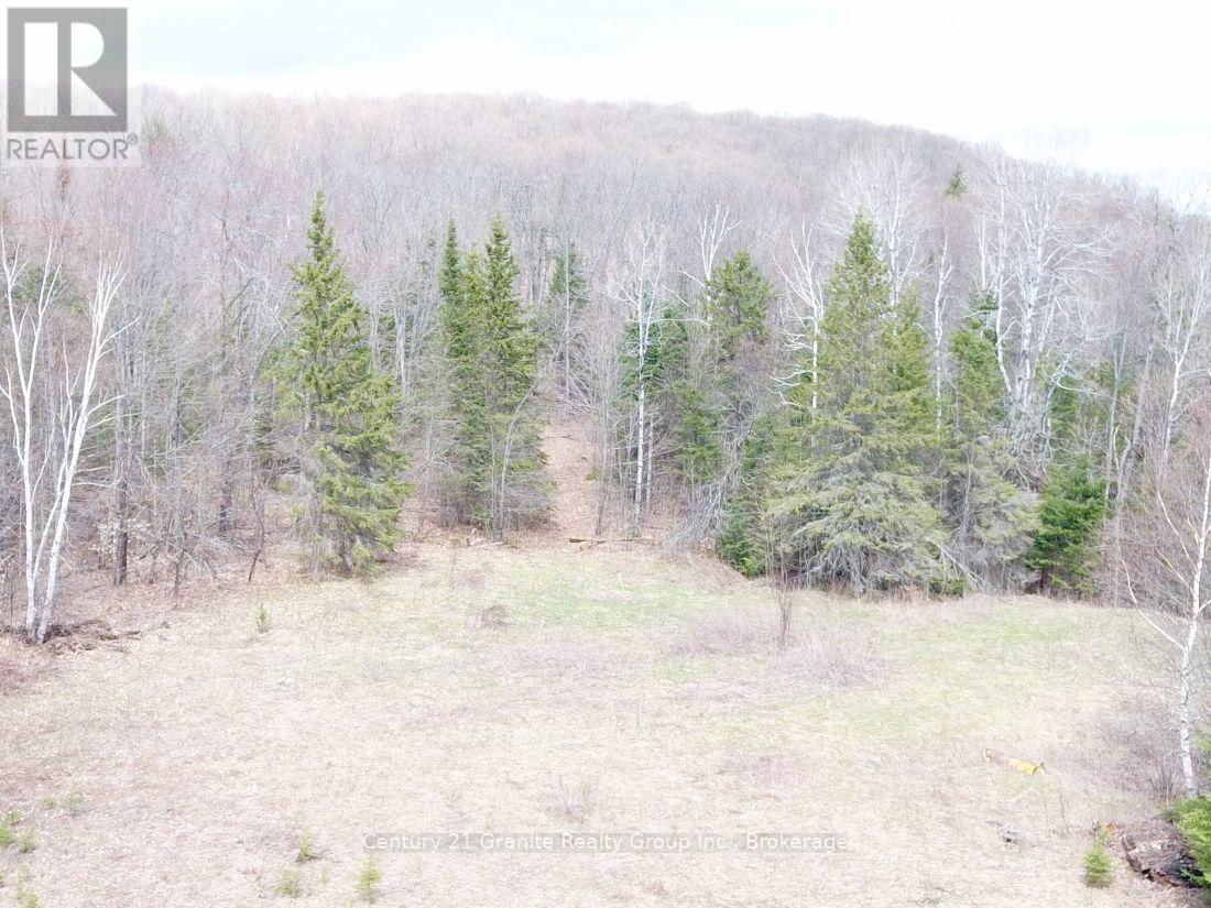2057 Madawaska Road, Hastings Highlands, Ontario  K0L 2S0 - Photo 18 - X13557356