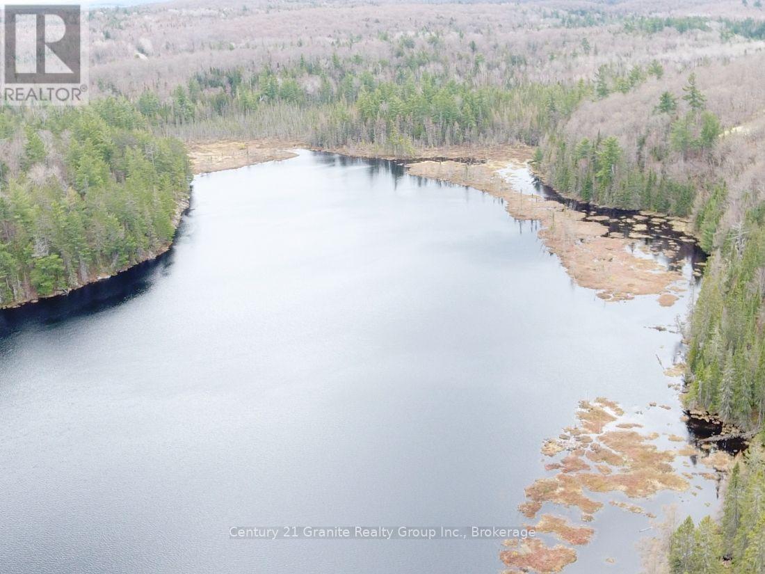 2057 Madawaska Road, Hastings Highlands, Ontario  K0L 2S0 - Photo 19 - X13557356