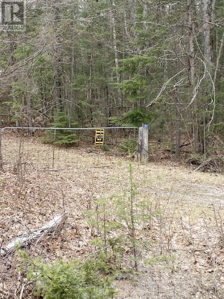2057 Madawaska Road, Hastings Highlands, Ontario  K0L 2S0 - Photo 2 - X13557356