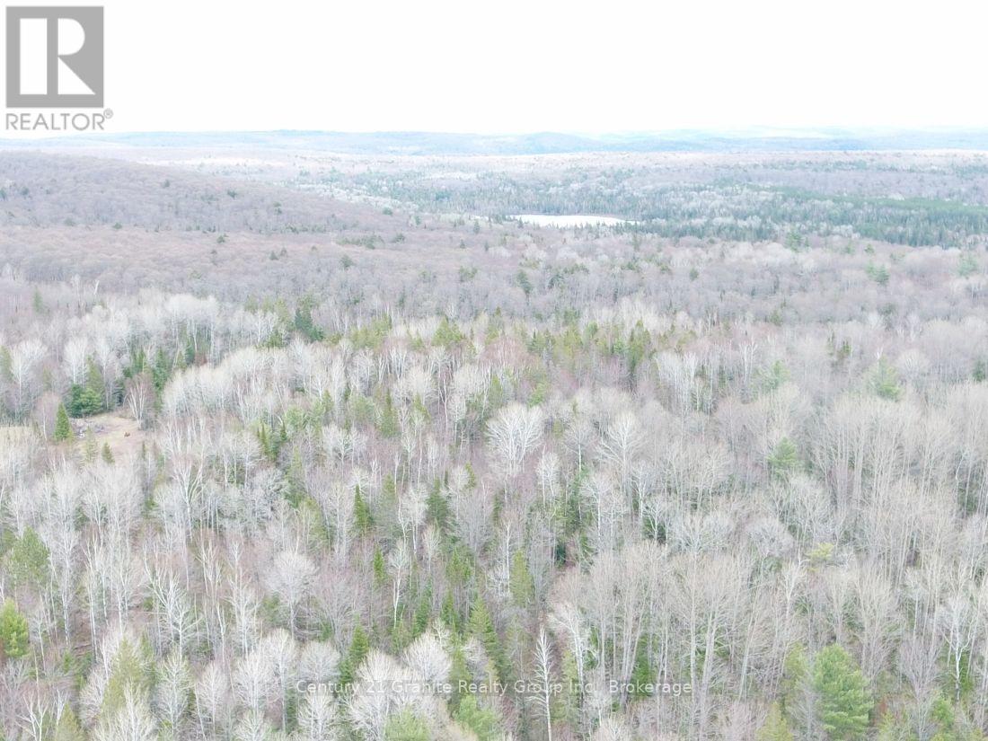 2057 Madawaska Road, Hastings Highlands, Ontario  K0L 2S0 - Photo 21 - X13557356