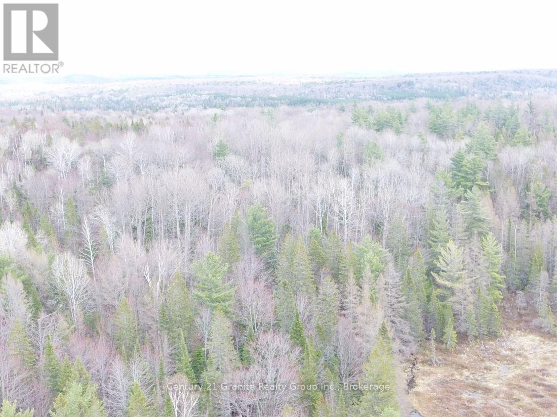 2057 Madawaska Road, Hastings Highlands, Ontario  K0L 2S0 - Photo 23 - X13557356