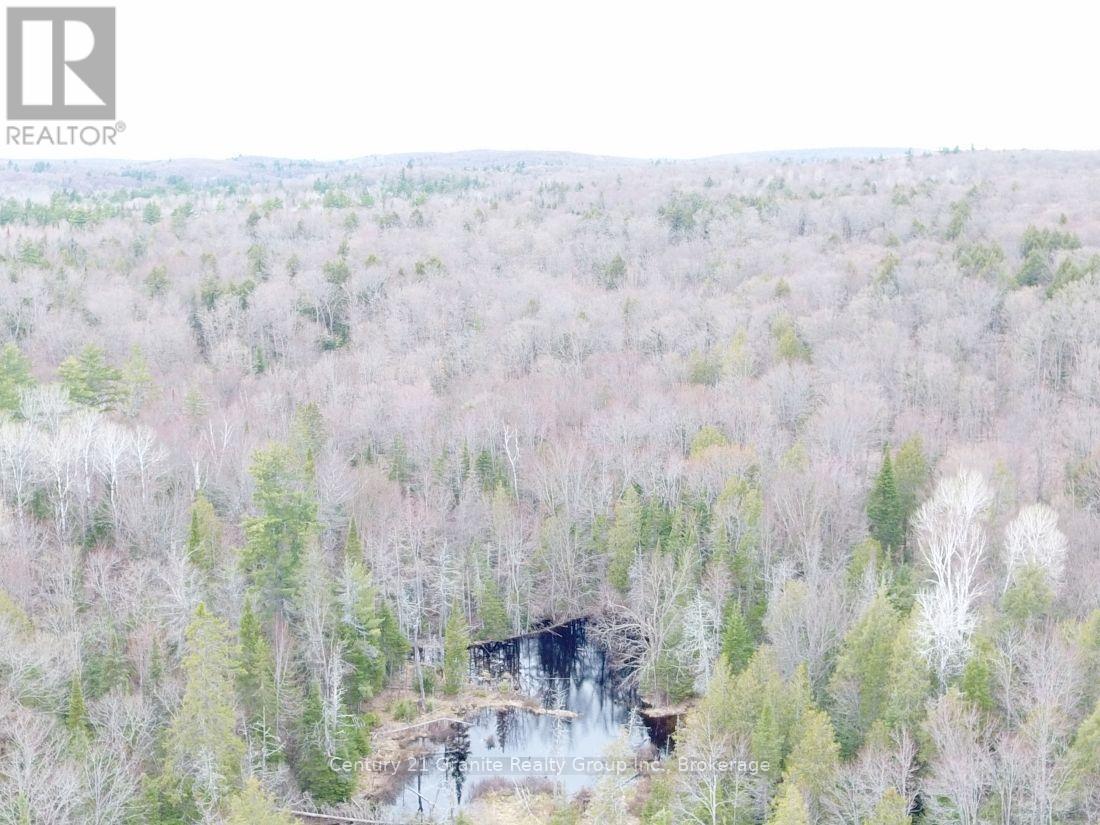 2057 Madawaska Road, Hastings Highlands, Ontario  K0L 2S0 - Photo 24 - X13557356