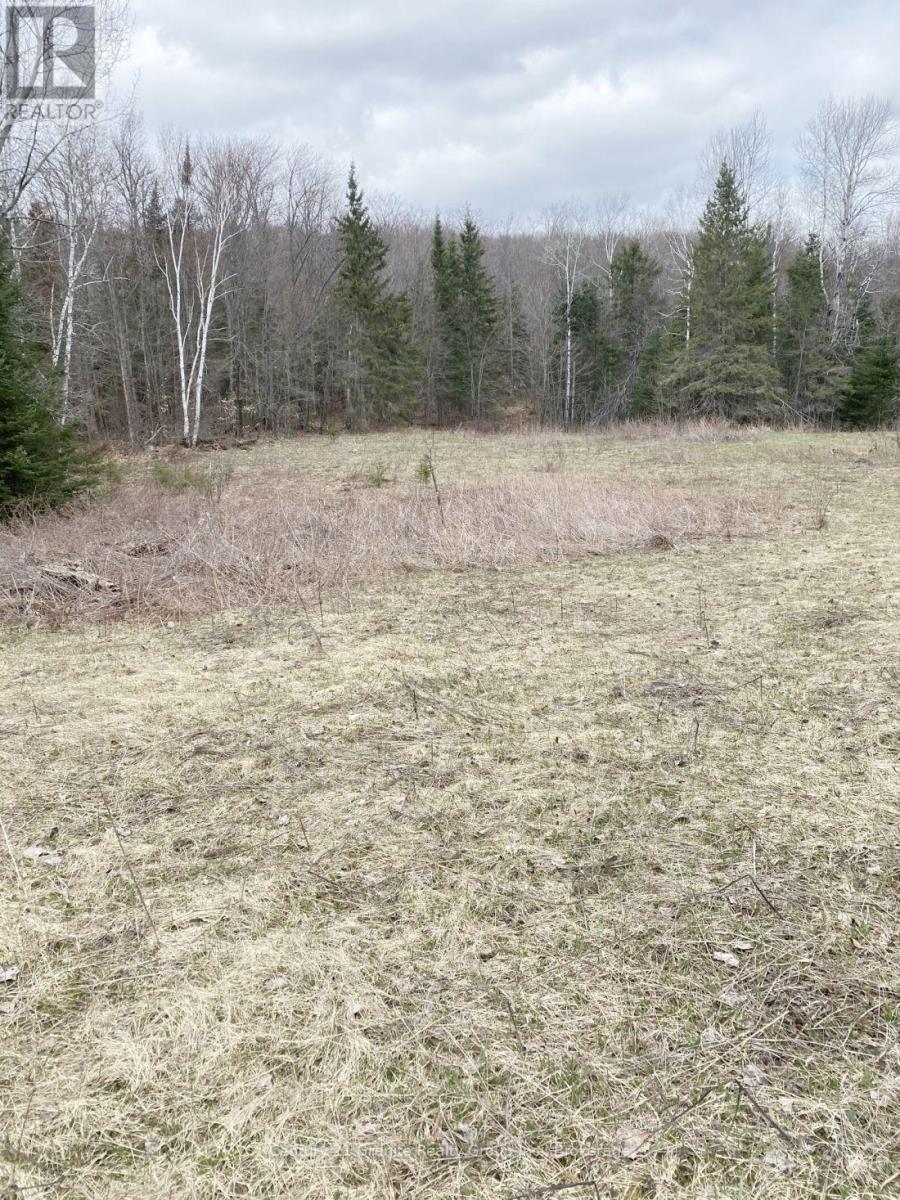 2057 Madawaska Road, Hastings Highlands, Ontario  K0L 2S0 - Photo 3 - X13557356