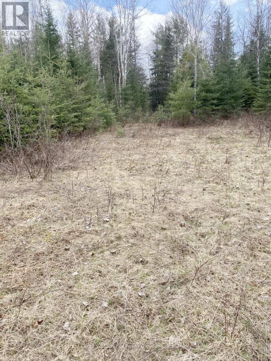 2057 Madawaska Road, Hastings Highlands, Ontario  K0L 2S0 - Photo 4 - X13557356