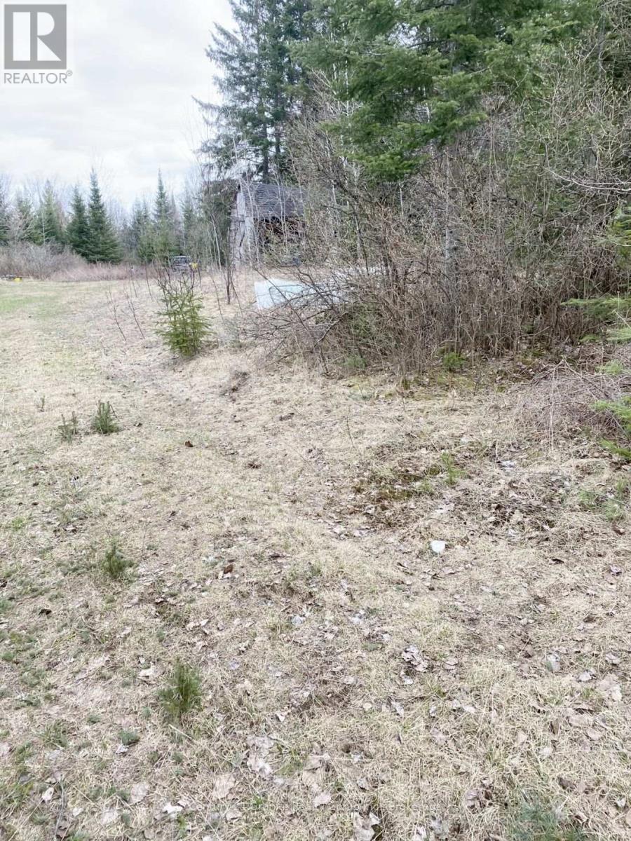 2057 Madawaska Road, Hastings Highlands, Ontario  K0L 2S0 - Photo 5 - X13557356