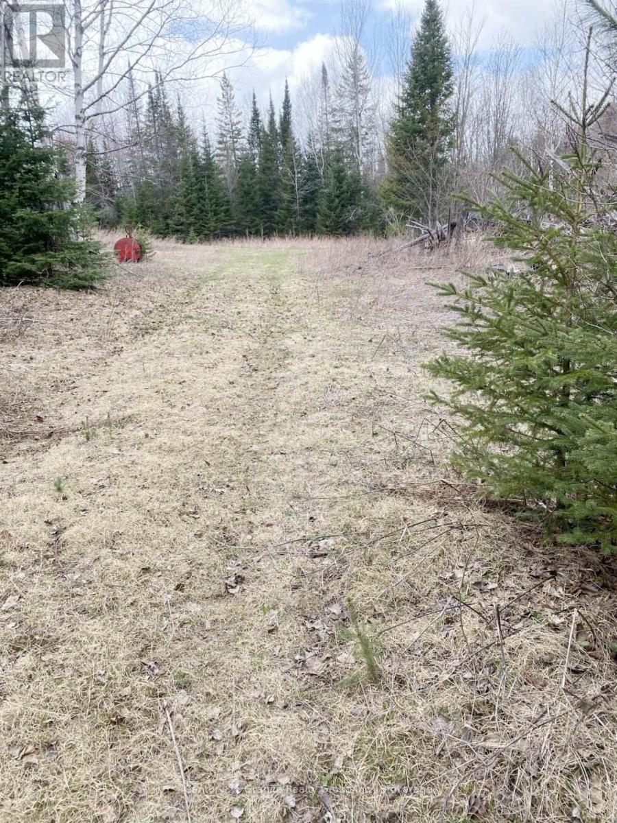 2057 Madawaska Road, Hastings Highlands, Ontario  K0L 2S0 - Photo 6 - X13557356