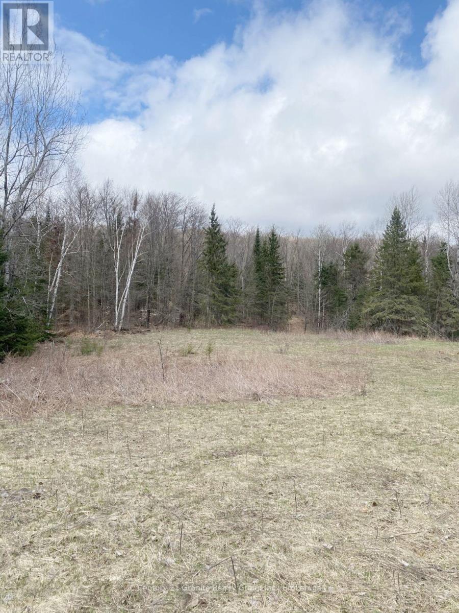 2057 Madawaska Road, Hastings Highlands, Ontario  K0L 2S0 - Photo 7 - X13557356