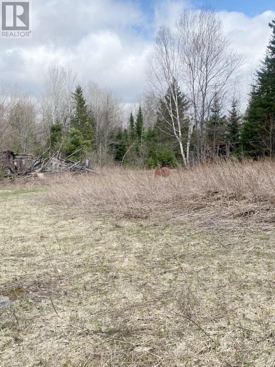 2057 Madawaska Road, Hastings Highlands, Ontario  K0L 2S0 - Photo 8 - X13557356