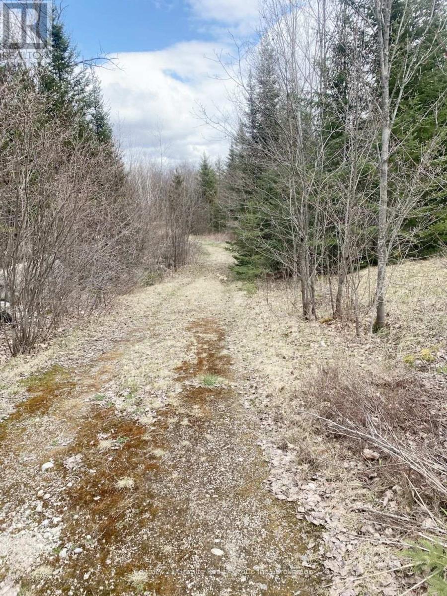 2057 Madawaska Road, Hastings Highlands, Ontario  K0L 2S0 - Photo 9 - X13557356