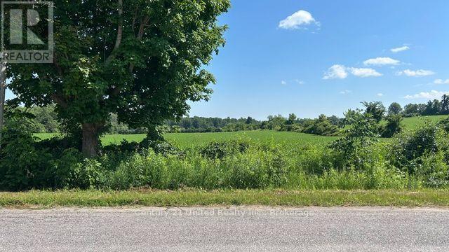 2512 Brown Line, Cavan Monaghan, Ontario  K9J 6Z9 - Photo 8 - X13557360
