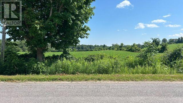 2512 Brown Line, Cavan Monaghan, Ontario  K9J 6Z9 - Photo 9 - X13557360