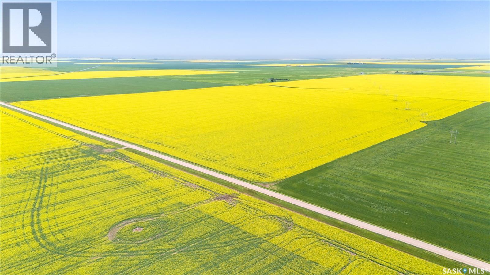 8 Quarters Premium Grainland Near Lewvan (Reimer), Scott Rm No. 98, Saskatchewan