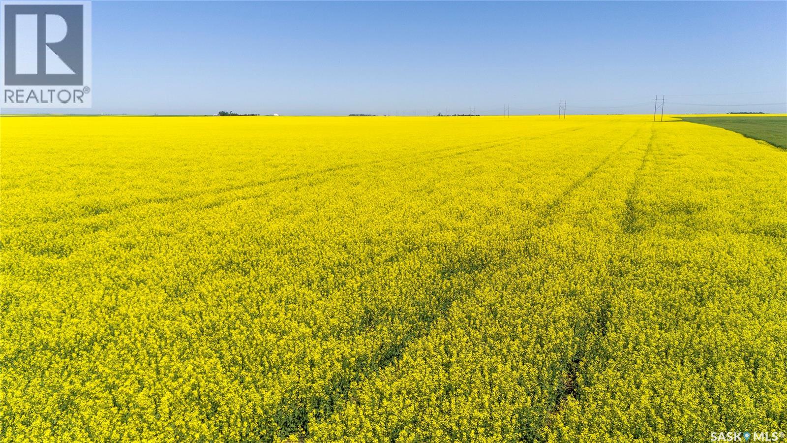 8 Quarters Premium Grainland Near Lewvan (Reimer), Scott Rm No. 98, Saskatchewan  S0G 0S0 - Photo 11 - SK042413