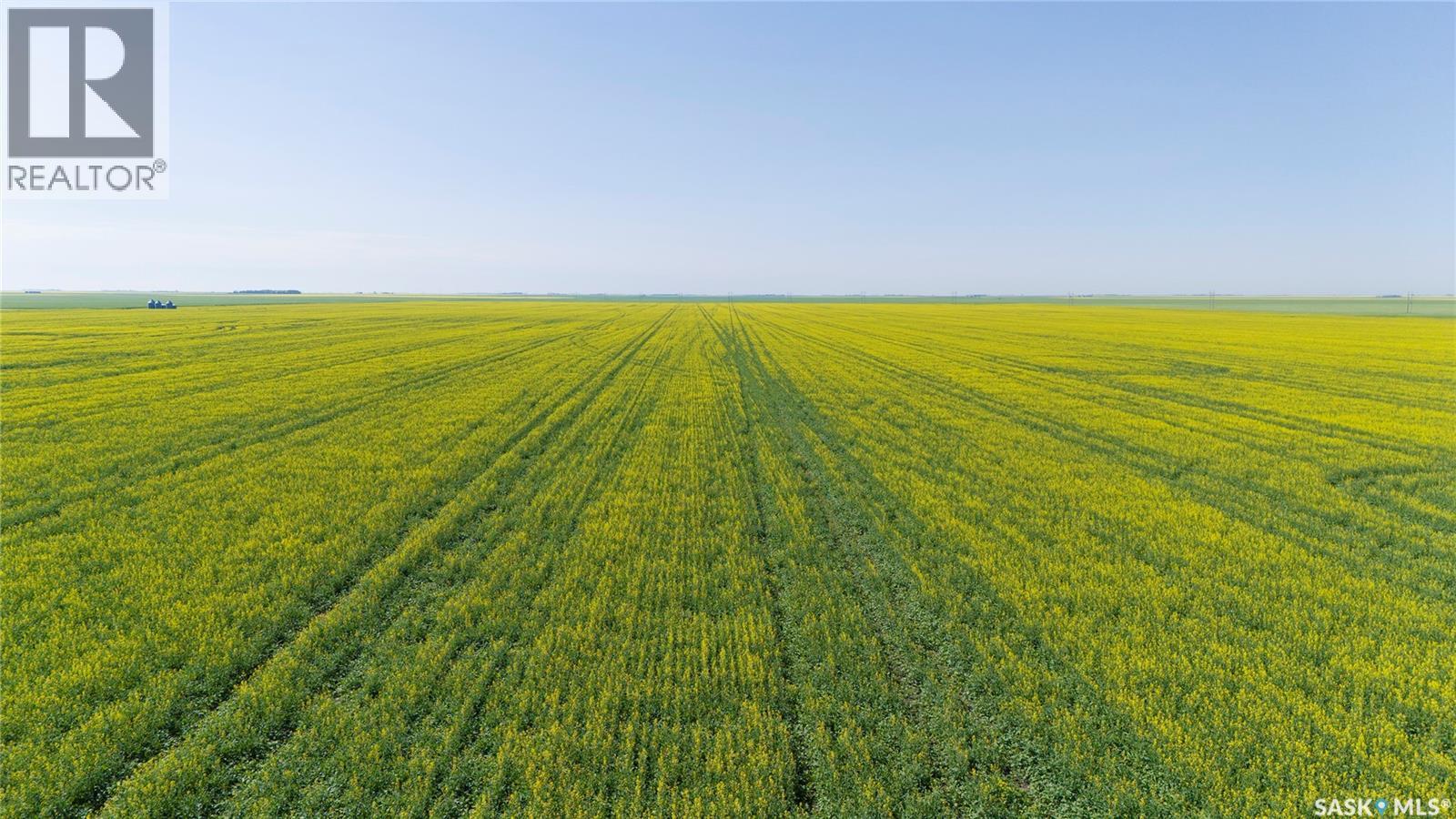 8 Quarters Premium Grainland Near Lewvan (Reimer), Scott Rm No. 98, Saskatchewan  S0G 0S0 - Photo 2 - SK042413