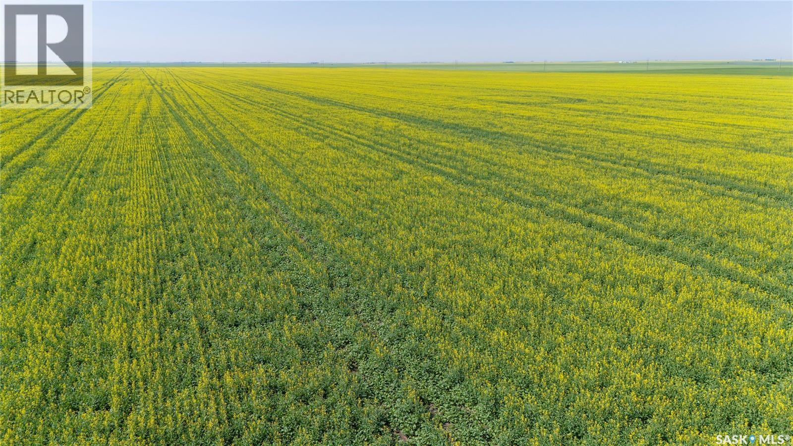 8 Quarters Premium Grainland Near Lewvan (Reimer), Scott Rm No. 98, Saskatchewan  S0G 0S0 - Photo 6 - SK042413