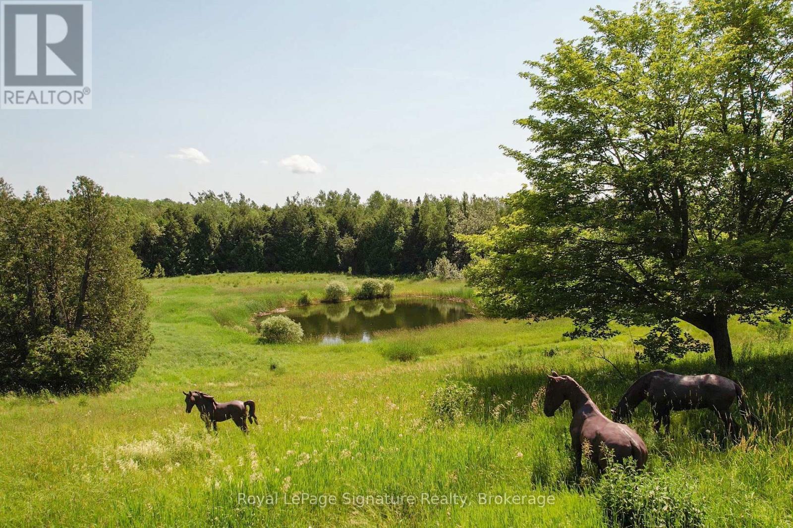 469319 Grey Rd 31 Road, Grey Highlands, Ontario  N0C 1M0 - Photo 45 - X13557820