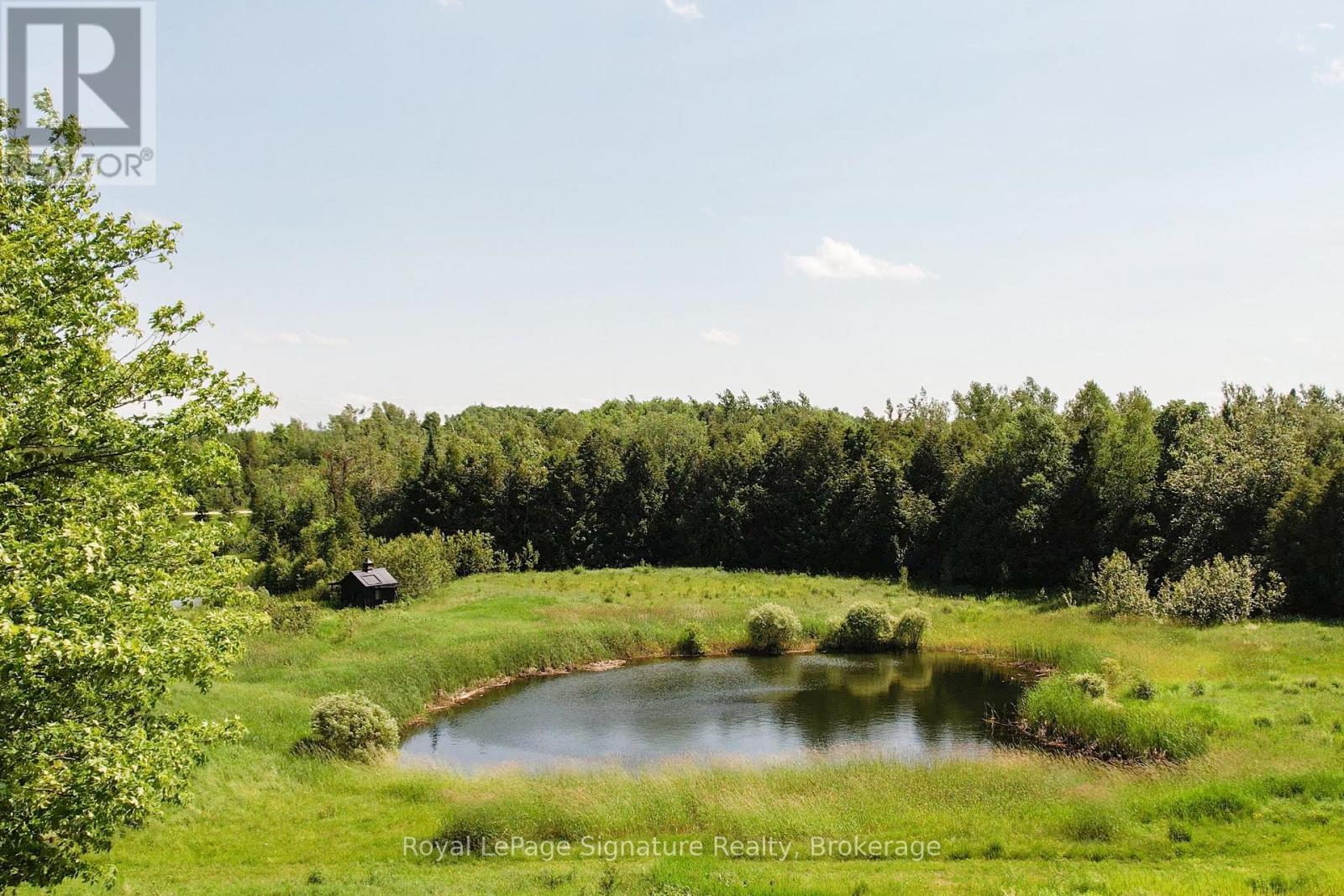 469319 Grey Rd 31 Road, Grey Highlands, Ontario  N0C 1M0 - Photo 46 - X13557820