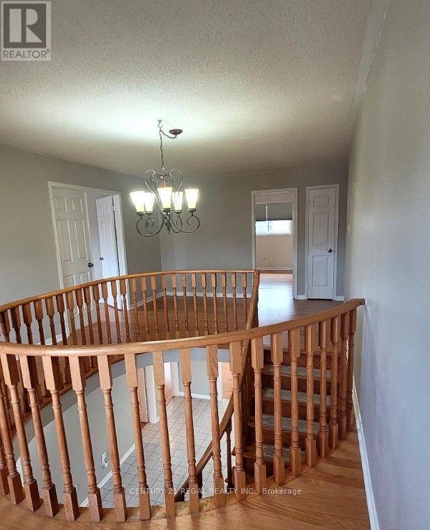41 Keffer Circle, Newmarket, Ontario  L3X 1R7 - Photo 9 - N13558380