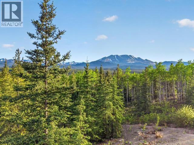 92 Lynx Lane, Whitehorse North, Yukon Y1A 6P2 - Photo 38 - 17497