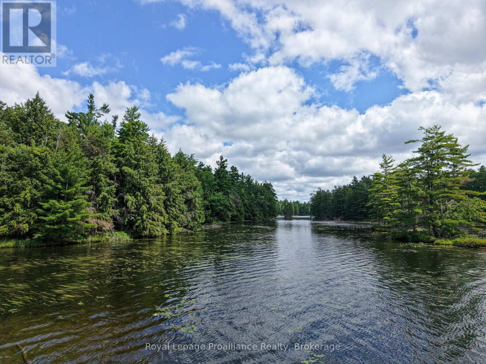 1 Wao Kasshabog Lake, Havelock-Belmont-Methuen, Ontario  K0L 2H0 - Photo 15 - X13558626