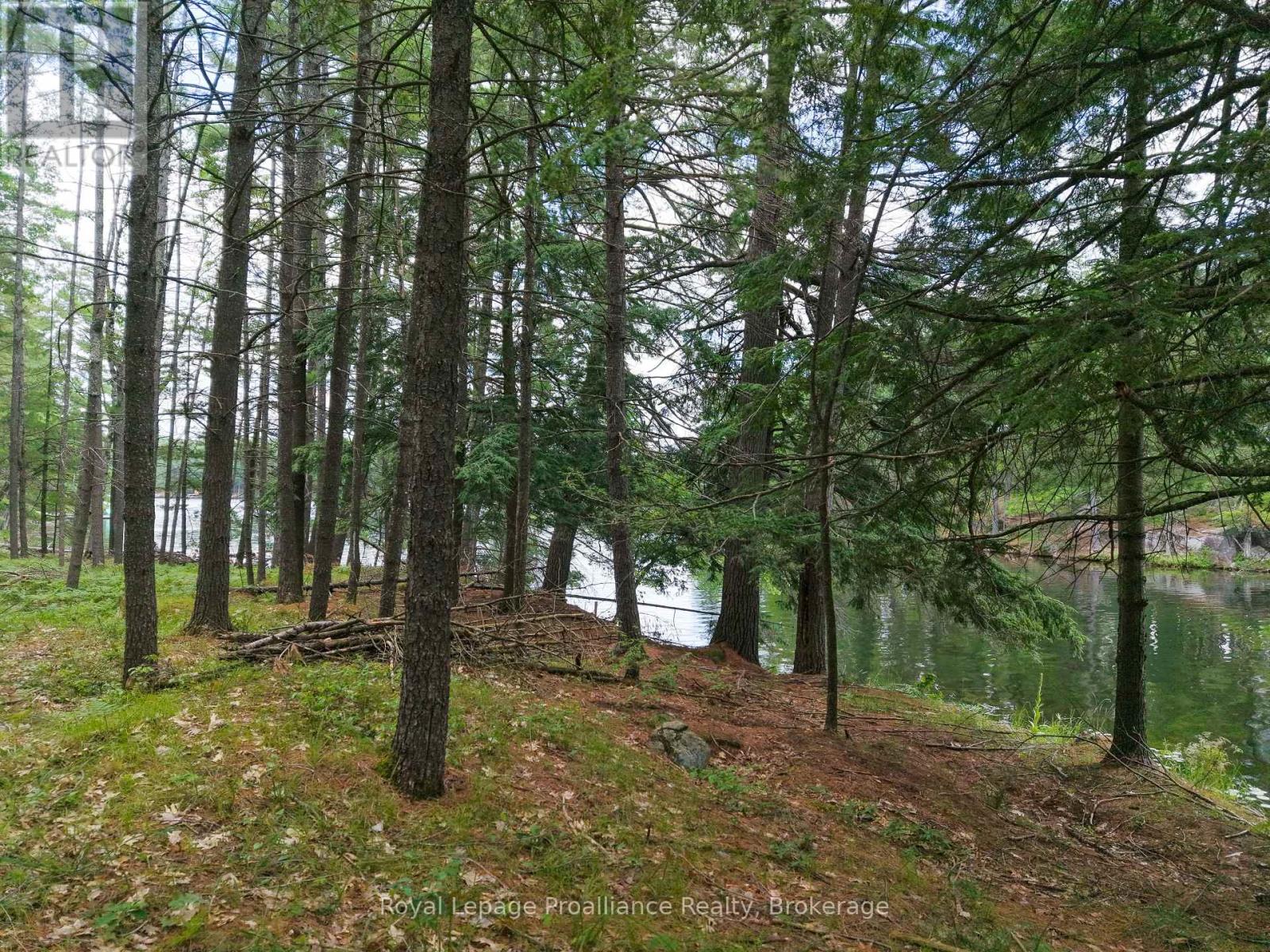 1 Wao Kasshabog Lake, Havelock-Belmont-Methuen, Ontario  K0L 2H0 - Photo 33 - X13558626