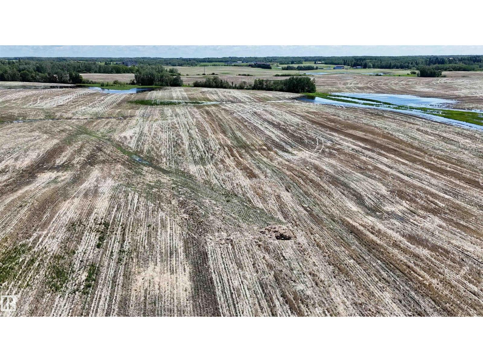 51421 Rr 233, Rural Strathcona County, Alberta  T8B 1L1 - Photo 13 - E4498603