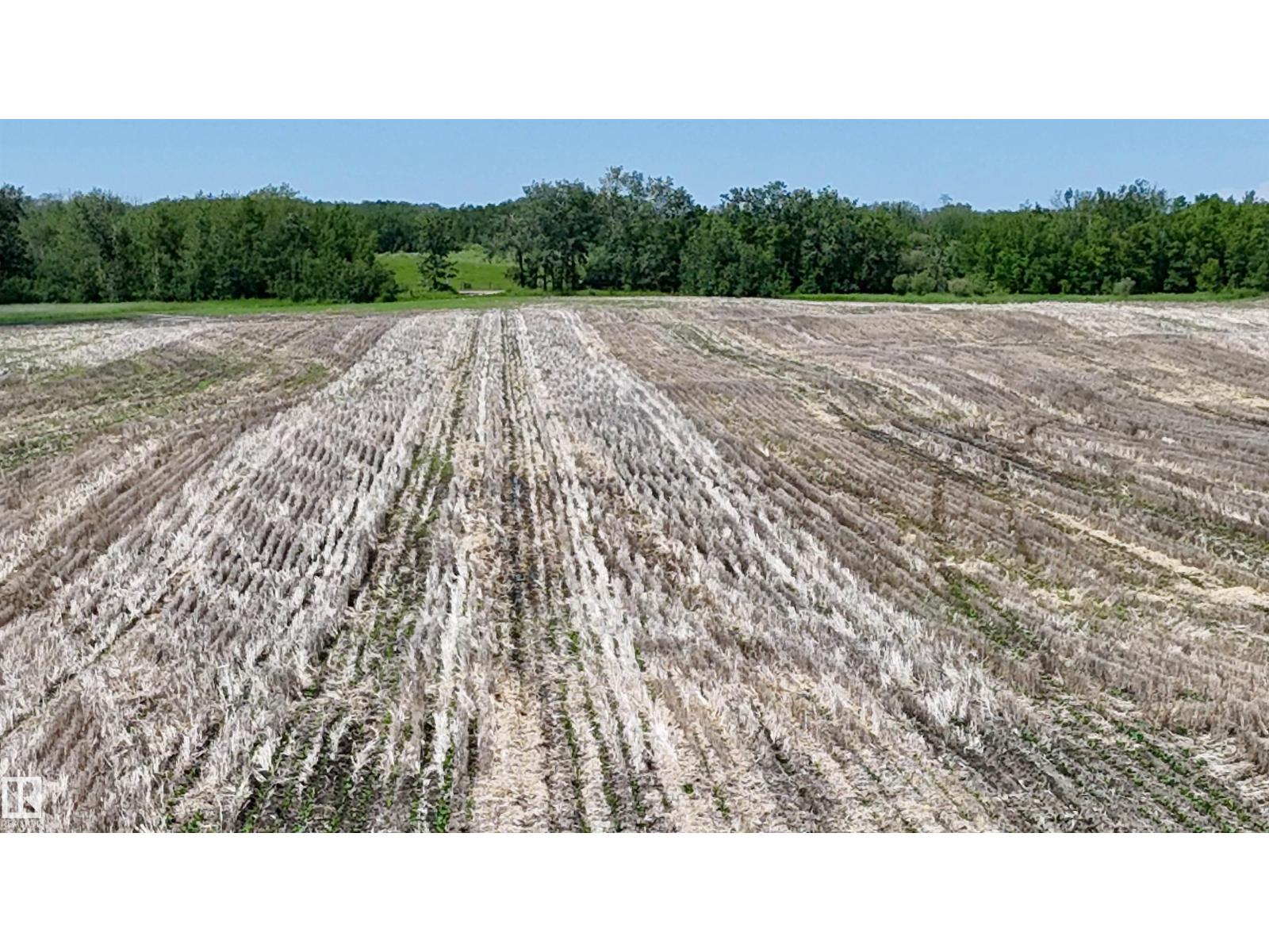 51421 Rr 233, Rural Strathcona County, Alberta  T8B 1L1 - Photo 31 - E4498603