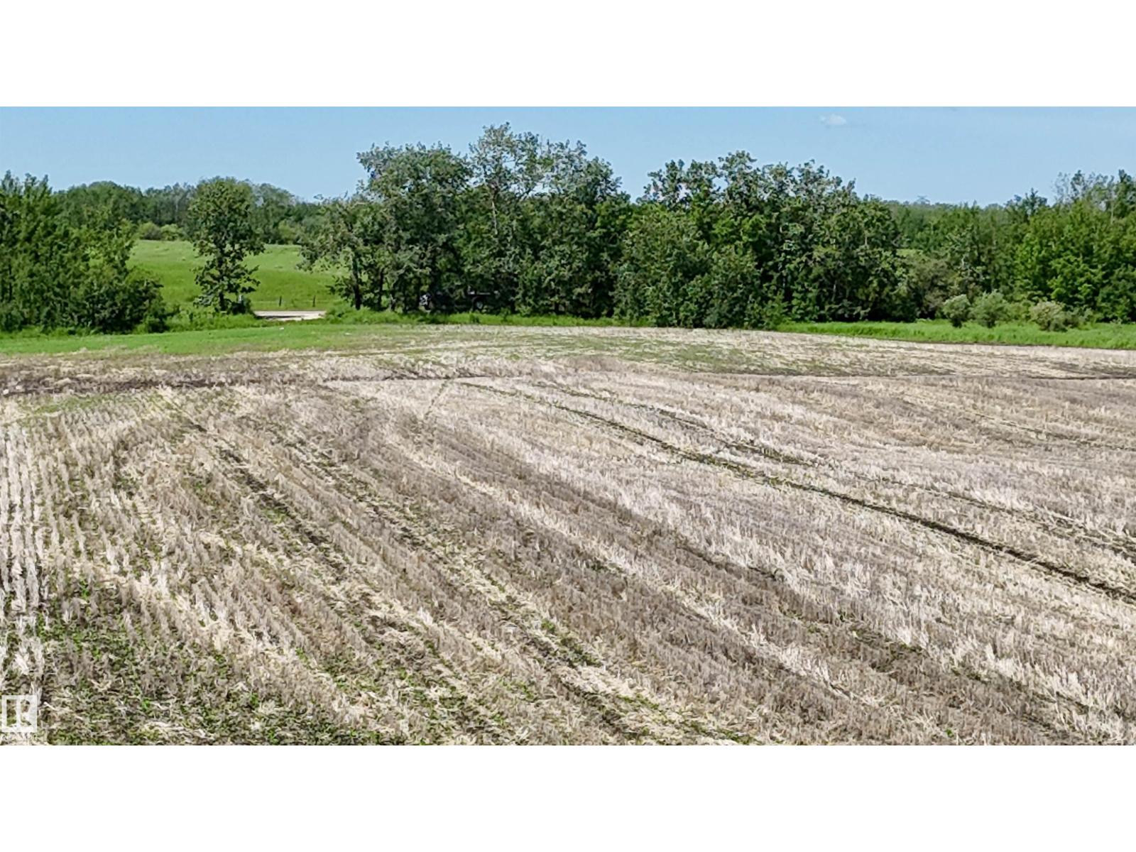 51421 Rr 233, Rural Strathcona County, Alberta  T8B 1L1 - Photo 32 - E4498603