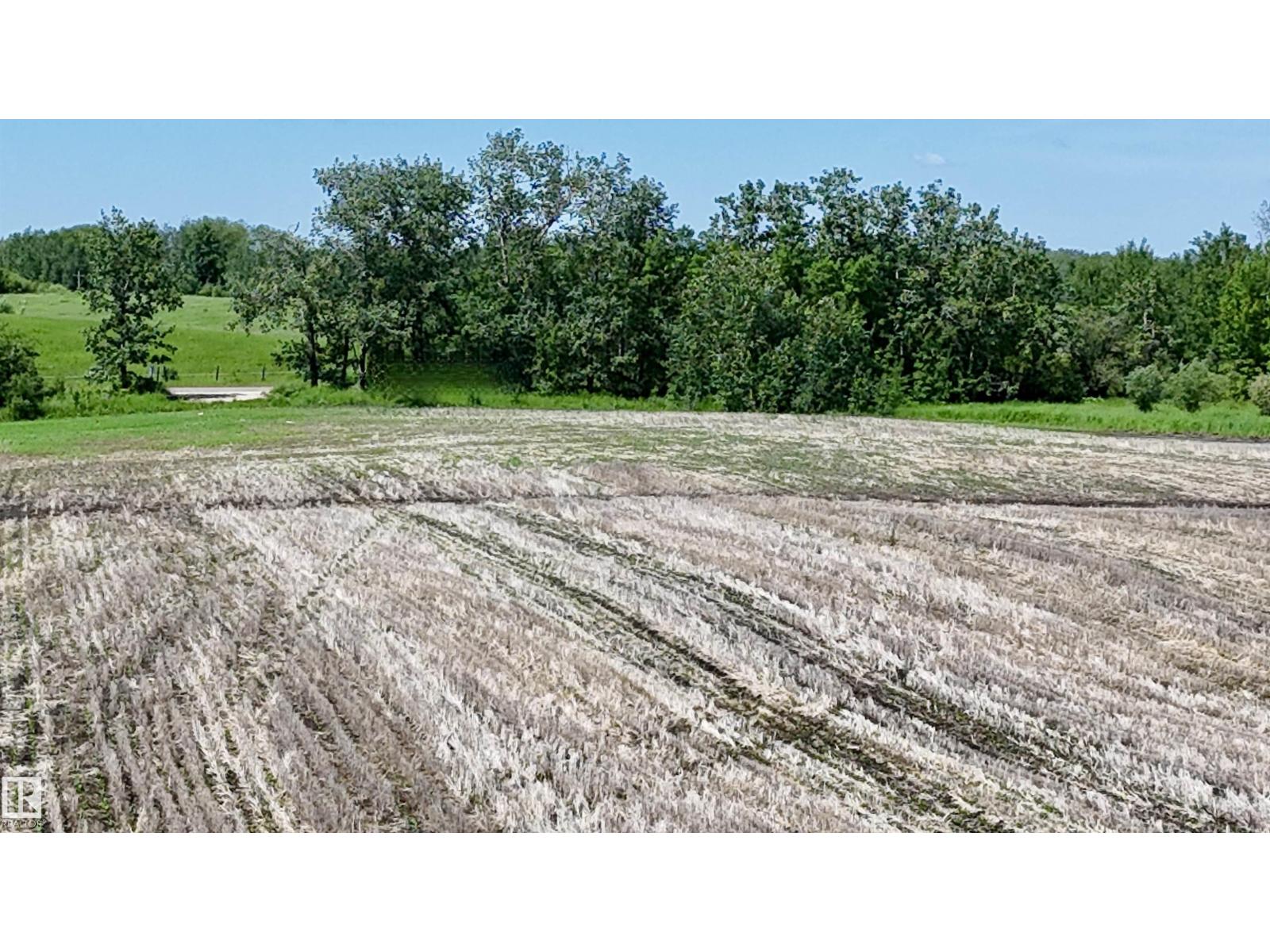 51421 Rr 233, Rural Strathcona County, Alberta  T8B 1L1 - Photo 33 - E4498603
