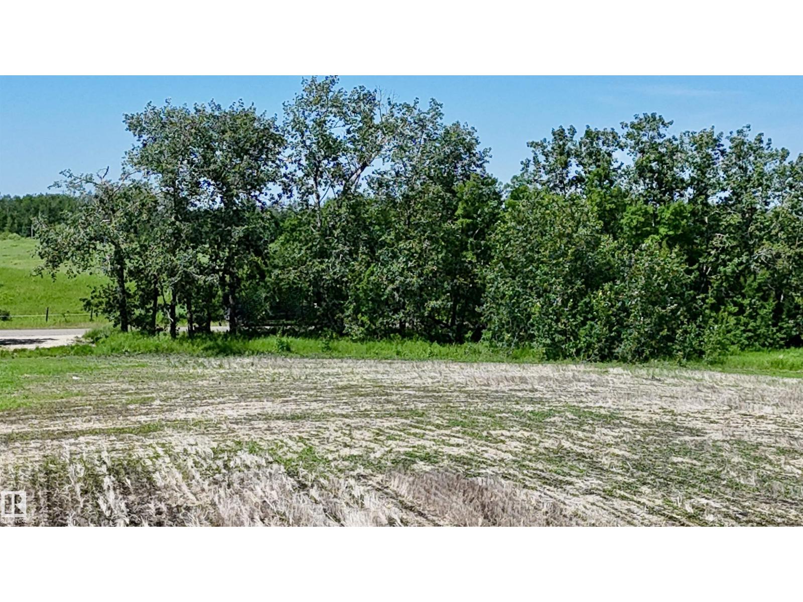 51421 Rr 233, Rural Strathcona County, Alberta  T8B 1L1 - Photo 34 - E4498603